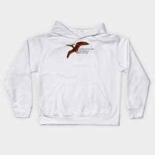 Realistic drawing of the Pteranodon Kids Hoodie